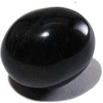 Shaligram Stone