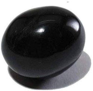 Shaligram Stone