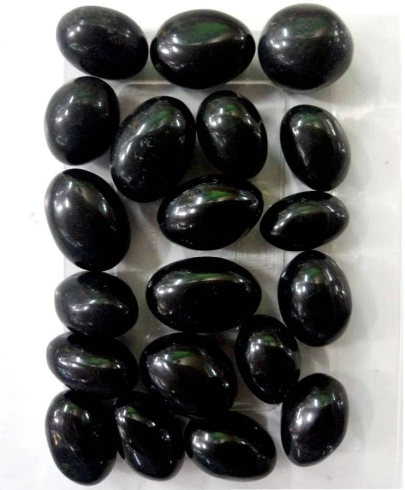 Shaligram Stone