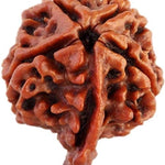 Ganesh Rudraksha