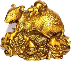 THE WEALTH MONGOOSE FOR GOOD HEALTH, WEALTH & PROSPERITY & EVIL PROTECTION