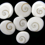 GOMTI CHAKRA - A Symbol of Prosperity and Blessings