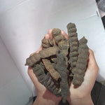 Organic Dried Raw Shikakai Pack for Hairs - Raw Form
