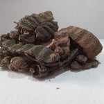 Organic Dried Raw Shikakai Pack for Hairs - Raw Form