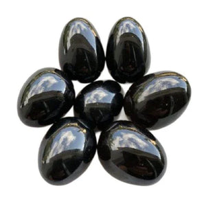 Shaligram Stone