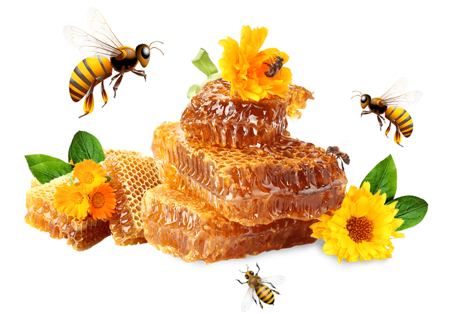 Honey - Wild Bee Honey/ Junglee Honey / Organic Honey / Wild Honey / Raw Honey