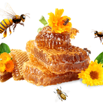Honey - Wild Bee Honey/ Junglee Honey / Organic Honey / Wild Honey / Raw Honey