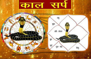 Kaal Sarp Dosh Nivaran Puja (Samanya Puja)