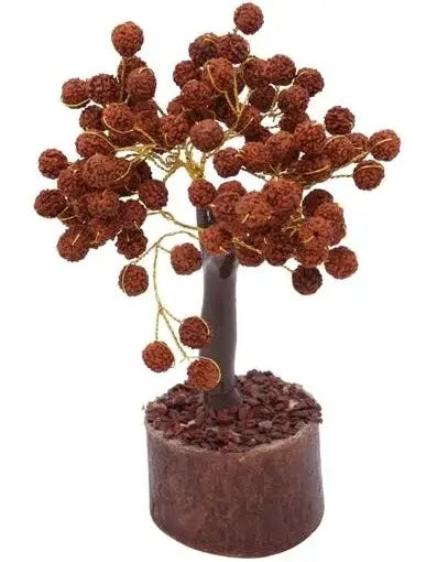 Energized Rudraksha Tree - Blessings of Lord Shiva for Prosperity and Well-being