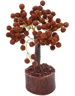 Energized Rudraksha Tree - Blessings of Lord Shiva for Prosperity and Well-being